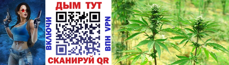 Продажа наркотиков Фёдоровский A-PVP  Марихуана  МЕТАМФЕТАМИН  Меф  Псилоцибиновые грибы  ГАШ  COCAIN 
