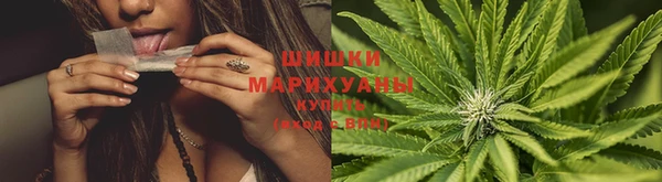 мяу мяу кристалл Няндома