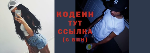 мяу мяу кристалл Няндома
