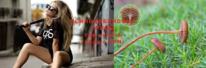 Галлюциногенные грибы MAGIC MUSHROOMS  Фёдоровский 